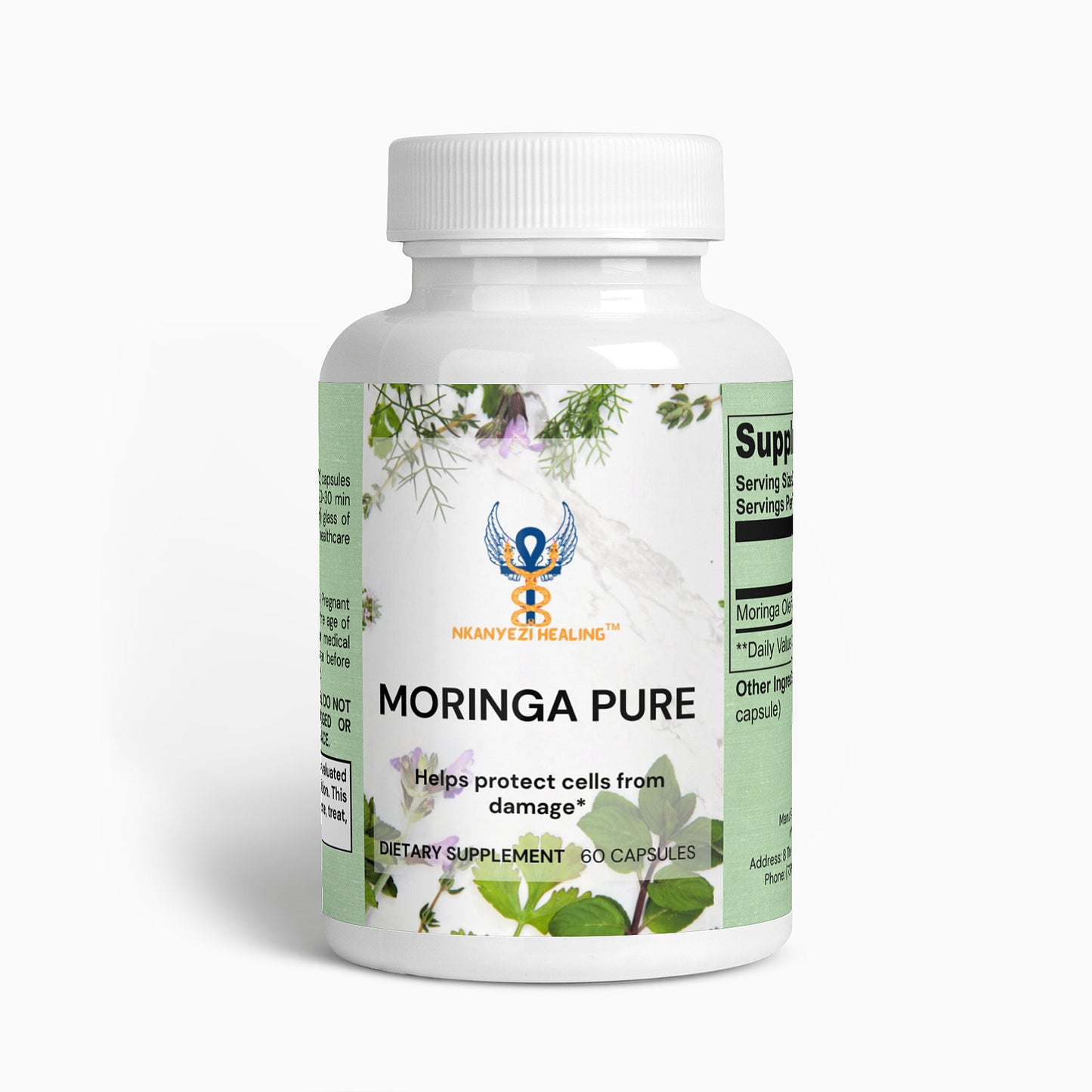Moringa Wisdom Capsules "The Drumstick Tree's Living Memory"