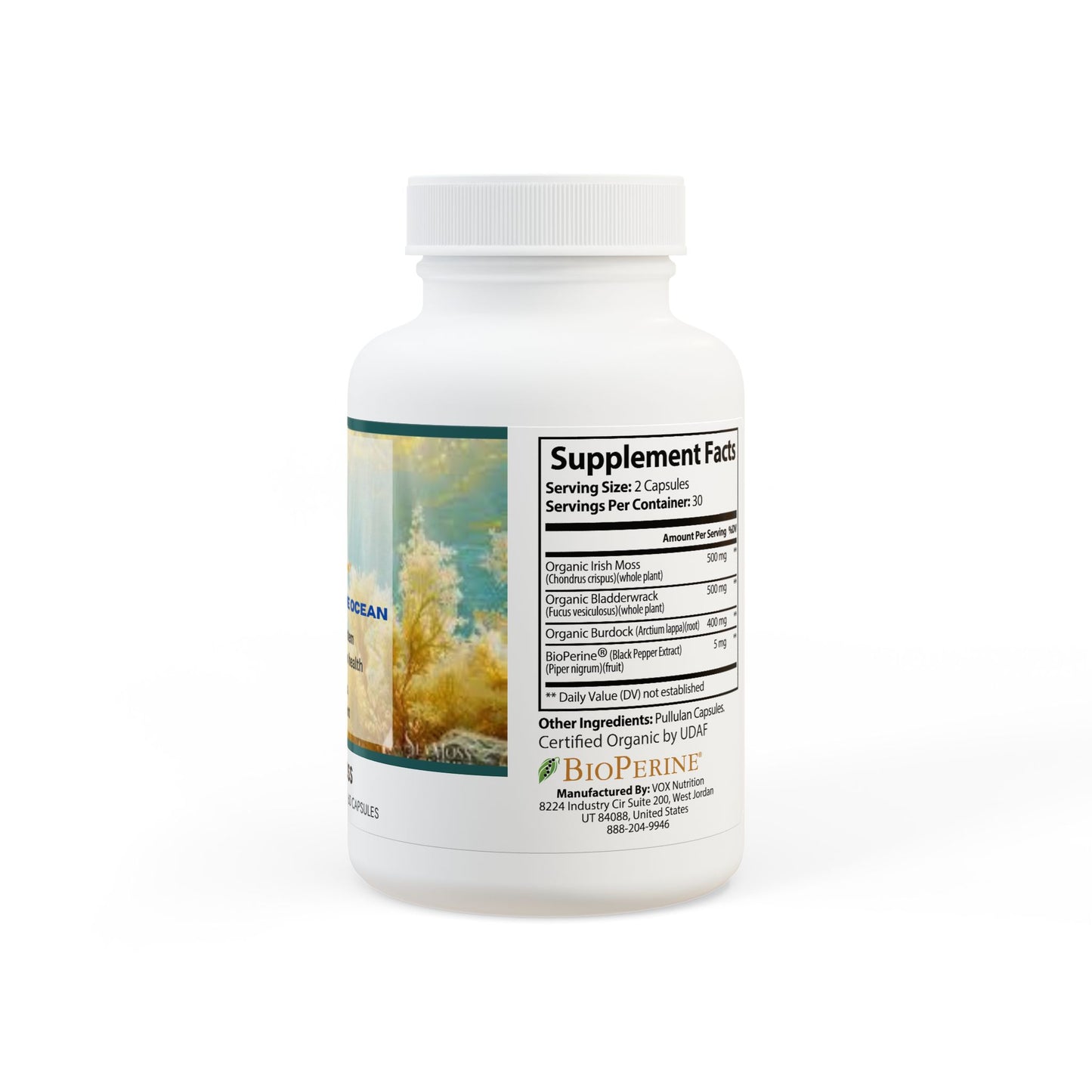 Ocean Essence Sea Moss Complex – Nature’s Mineral Treasure