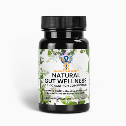 Natural Gut Wellness Capsules - Gut Wisdom Capsules "Ancient Forest Intelligence for Modern Bodies"